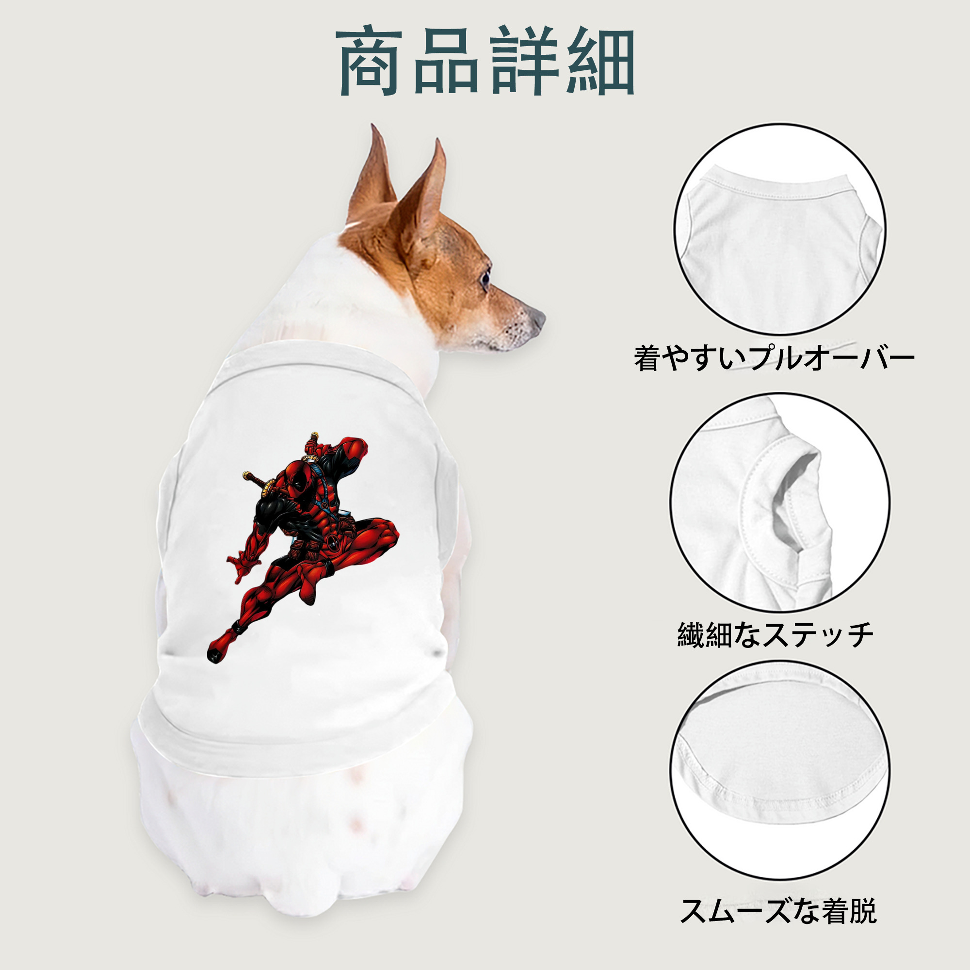 一般的なイメージ