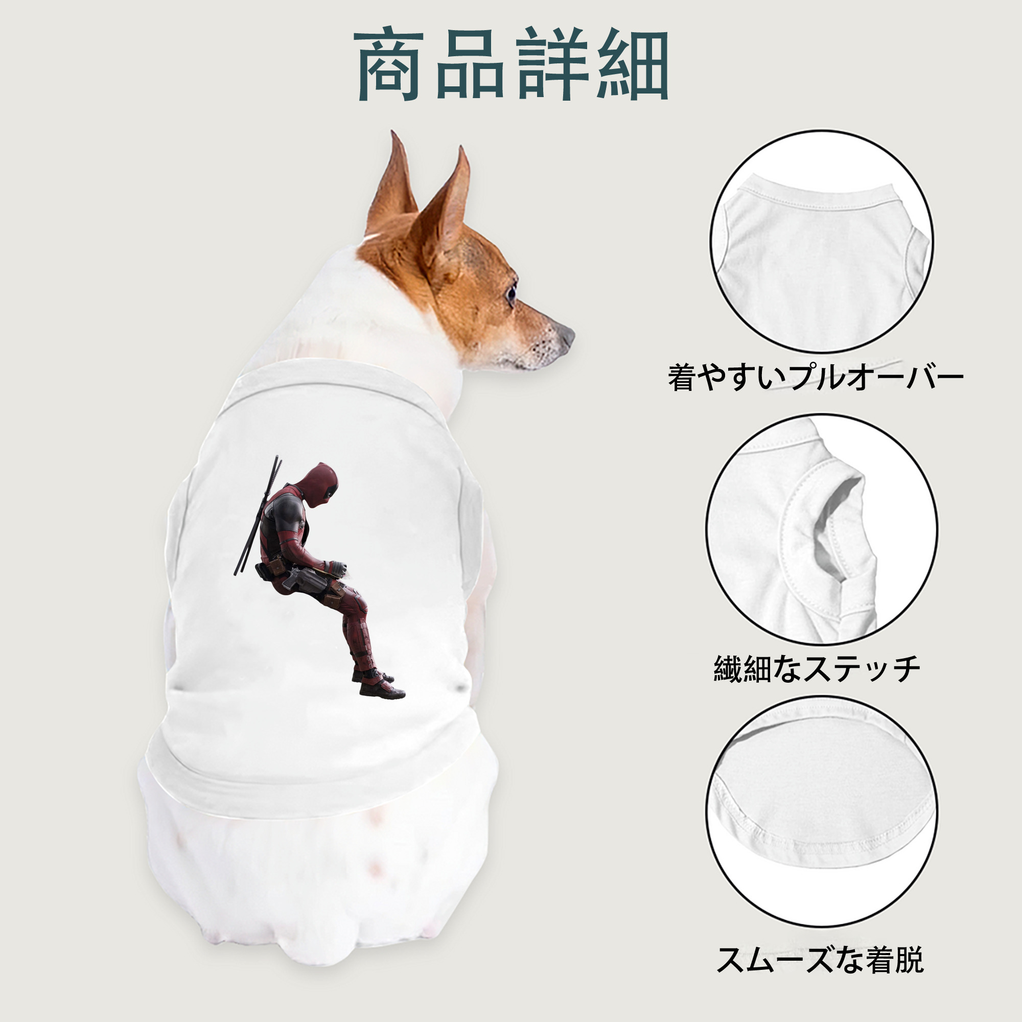 一般的なイメージ