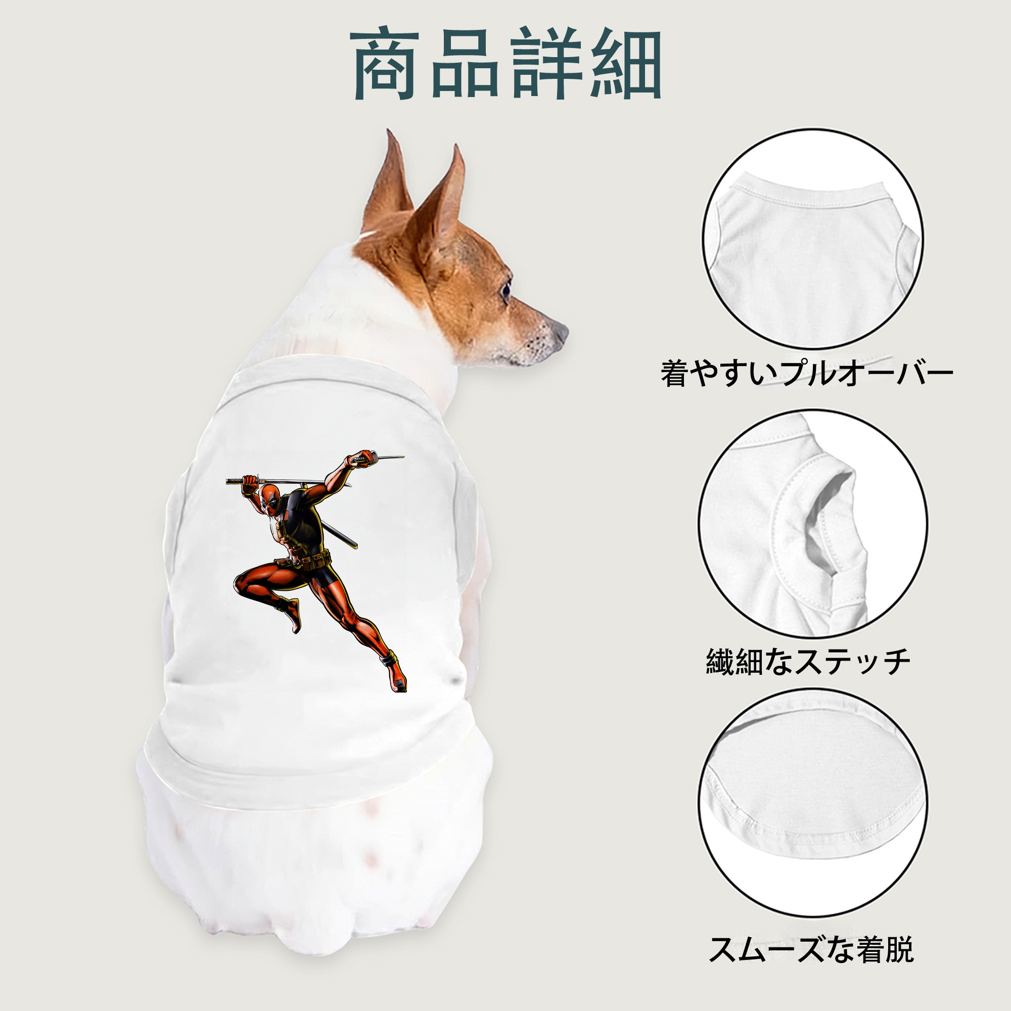 一般的なイメージ